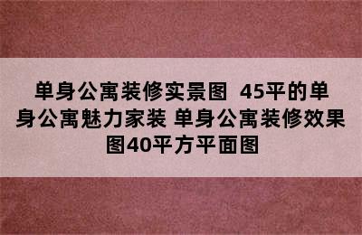 单身公寓装修实景图  45平的单身公寓魅力家装 单身公寓装修效果图40平方平面图